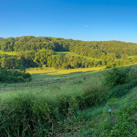 Bauernhof Fuer Naturliebhaber Bucha  Exteriör bild