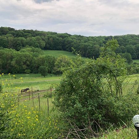 Bauernhof Fuer Naturliebhaber Bucha  Exteriör bild