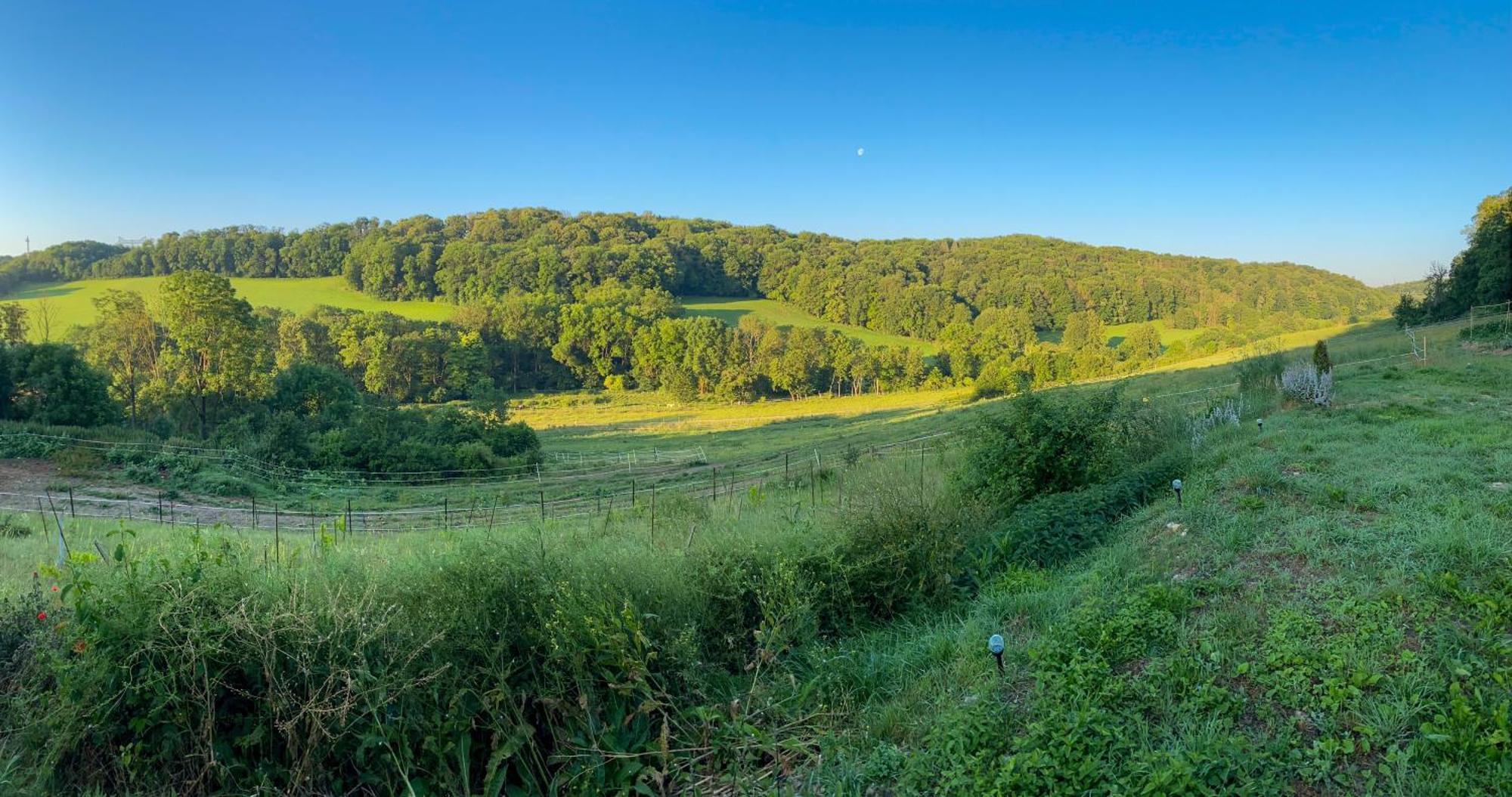 Bauernhof Fuer Naturliebhaber Bucha  Exteriör bild