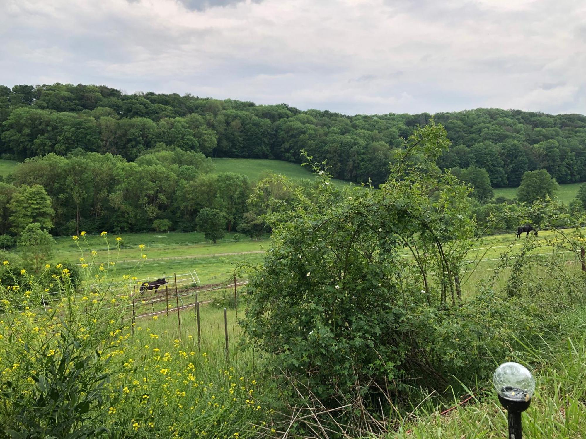 Bauernhof Fuer Naturliebhaber Bucha  Exteriör bild